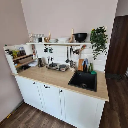 Rabarbar Apartment Ustron Exterior photo